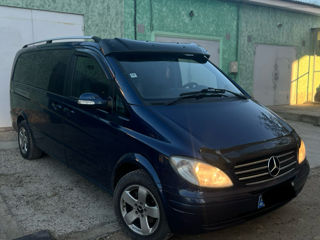 Mercedes Viano foto 5