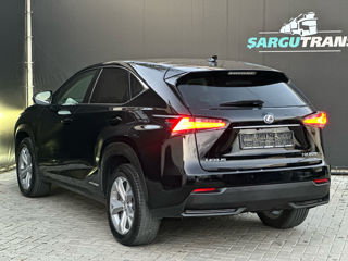 Lexus NX Series foto 6