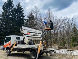 Servicii de tăiere a copacilor cu mașini Autoturn! foto 19