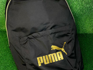 Puma