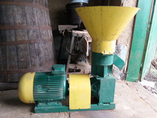 Vînd peletizator (granulator) 7,5 kw foto 2