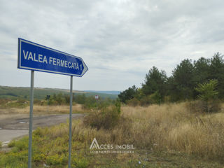 Teren pomicol 6 ari! Criuleni, str. Valea Fermecată! foto 2