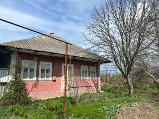 Casa cu teren 47ari, satul Gribova