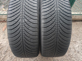 Продам два ската               Goodyear                205/55/16