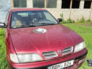 Nissan Primera foto 8