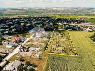 Teren agricol, 100 ari, Sângera, 180000 € ! foto 1