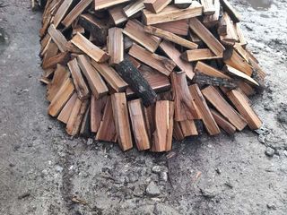 Vindem lemn de foc speci tari stejar carpan frasen (salchin) si lemn moale metre si despicate foto 3