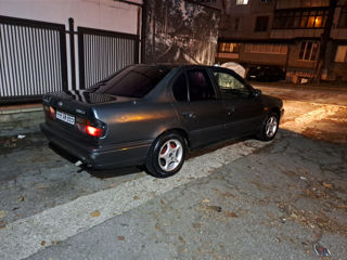 Nissan Primera foto 3