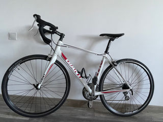 Giant Defy foto 1