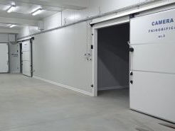 Сдается в аренду новый холодильник для хранение фруктов. три охладительные камеры по 100 тонн.