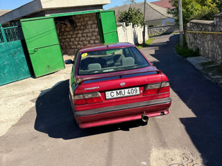 Nissan Primera foto 6