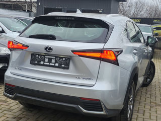 Lexus NX Series foto 19