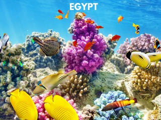 To Egypt ! Египет из Одессы на Пасхальные Праздники!   по лучшей цене! foto 7