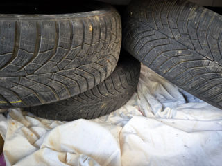 Зимние шины Kumho 205/55/R16