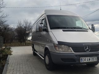 Mercedes Mers  scimb pe Prado foto 9