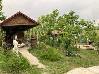 Foisor, Bisetka (Crama Diaconu) foto 2