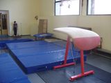 Борцовский ковёр, спортивный мат, татами, гимнастический мат, борцовский мат, страховочный мат foto 6