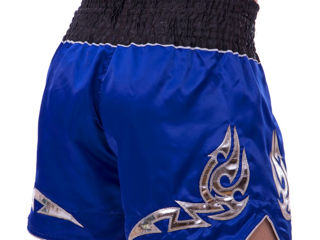 Sorti pentru muay-thai / k-1 / kickboxing Aboxer !Шорты для k-1 / кикбоксинга / муай-тай Aboxer !!! foto 5