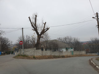 Sireț, chirie sau vinzare urgent! imobil nelocativ, 12 km distanta de la Chisinau. foto 1