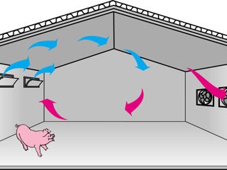 Системы вентиляции, индивидуальное проектирование для вашей фермы foto 2
