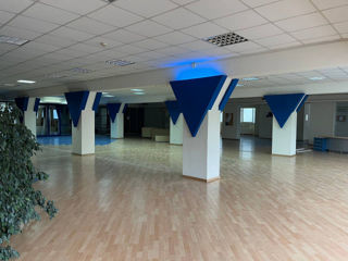 chirie  spatiu comercial 600 m2. str. calea iesilor.. chisinau prima linie . foto 0