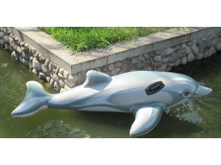 Надувная игрушка INTEX  Дельфин foto 3