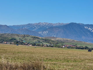 Teren unic de 11,600 mp/Extravilan/Rasnov foto 3