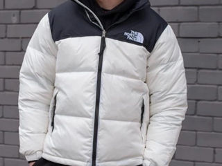 The North Face