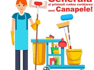 Curatenie generale/ intretinere,dupa constructor,curatarea canapele/ covoare... foto 1