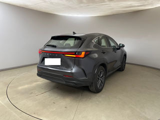 Lexus NX Series foto 3