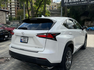 Lexus NX Series foto 4