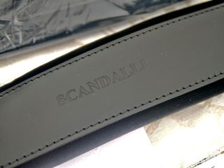 Curele pentru acordeon de ediție luxe marcă Scandalli , husă și diverse accesorii foto 2