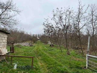 Teren agricol cu Iaz foto 3