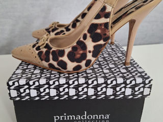 Pantofi "Primadonna" Made in Italy foto 2