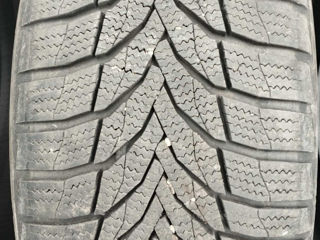 Nexen winguard sport 2  215/50 r17 foto 2