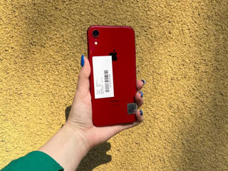 iPhone XR r 64 GB, 0% Кредит от 286 лей/месяц! Гарантия 12 месяца! foto 2