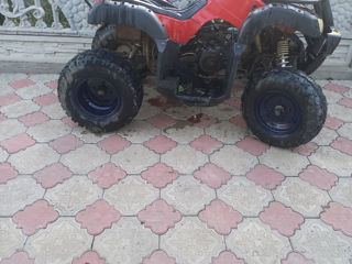 Viper Atv foto 2