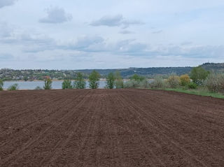 Teren pe malul Nistrului 18 arii foto 1