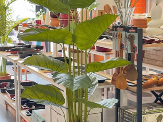 Decor-flori artificiale și vaze  foto 18