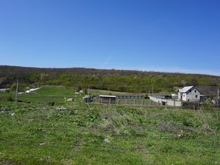 15 ari de teren pt constructie - Zona Ecologica - Prima linie - Hulboaca foto 6