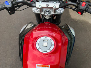 Forte 300cc Livrare gratis foto 3