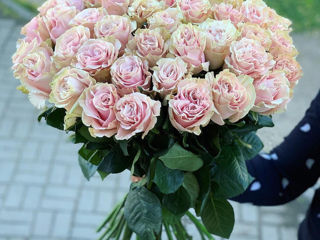 Trandafiri premium olandezi de la 37 mdl Livrare flori 24/24 доставка цветов flowers delivery foto 8