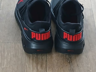 Puma originale foto 3