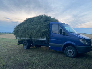 Transport marfa  orice tip ,evacuare gunoi foto 2