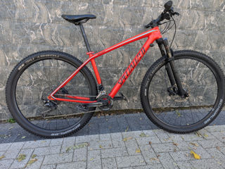 Specialized Epic Hardtail foto 2