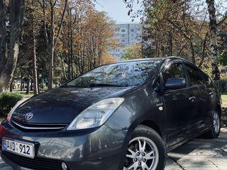 chirie auto   авто прокат   rent a car 24/24