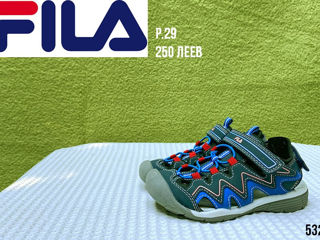 fila 29