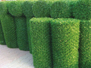 Декоративный зеленый забор