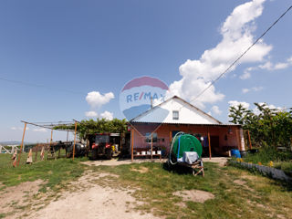 Livadă de prune cu uscătorie si tehnică agricolă foto 14