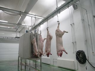 Carne de porc si vita in carcasa